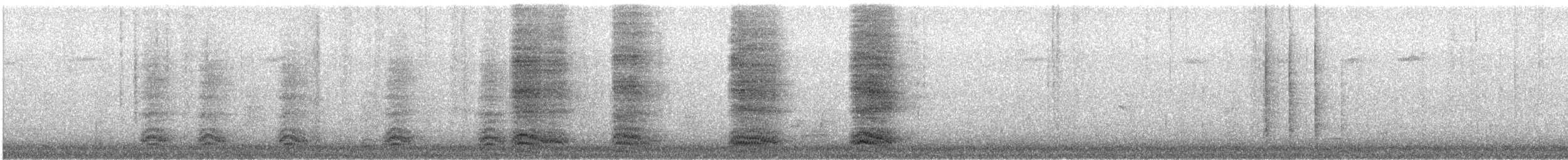 Corneille d'Amérique - ML644273638