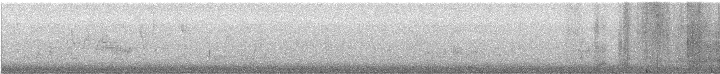 Mosquero Mínimo - ML644273836