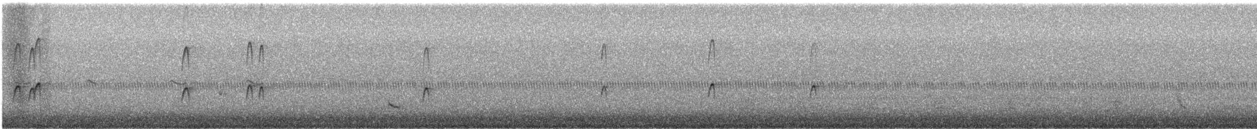 Stilt Sandpiper - ML644273844