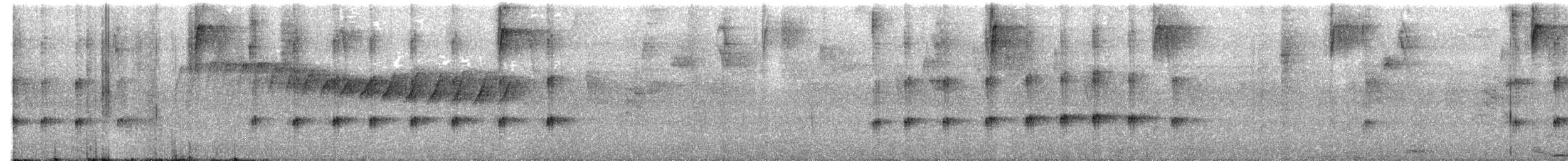 Scale-crested Pygmy-Tyrant - ML644273869