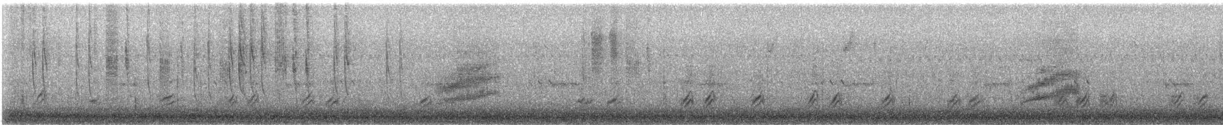 アカフトオハチドリ - ML644274166