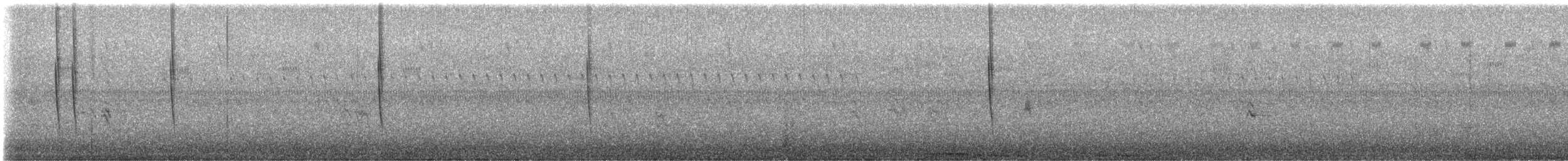 Broad-tailed Hummingbird - ML644274406