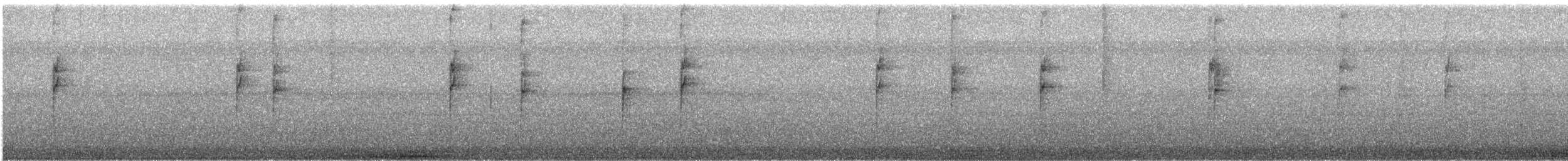 ルリイカル - ML644274507