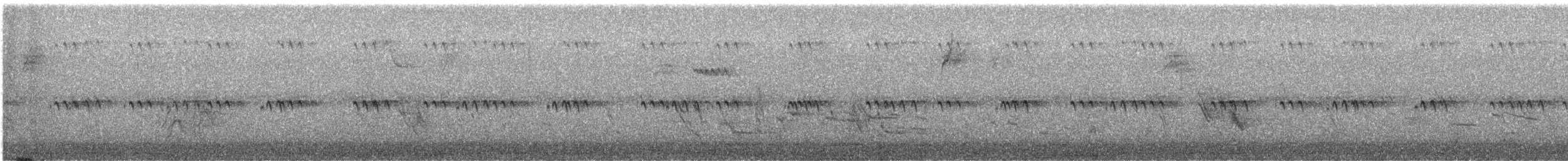 amerikatrekryper - ML644274714