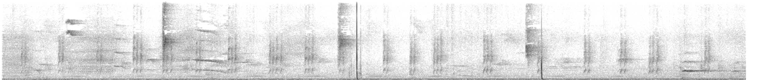 gråkronepiggstjert - ML644275448