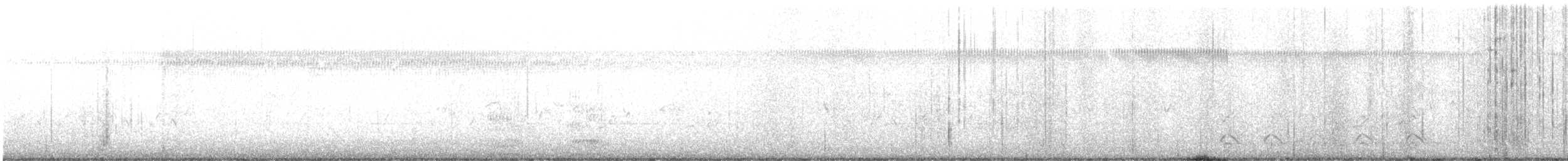 amerikakråke - ML644275893