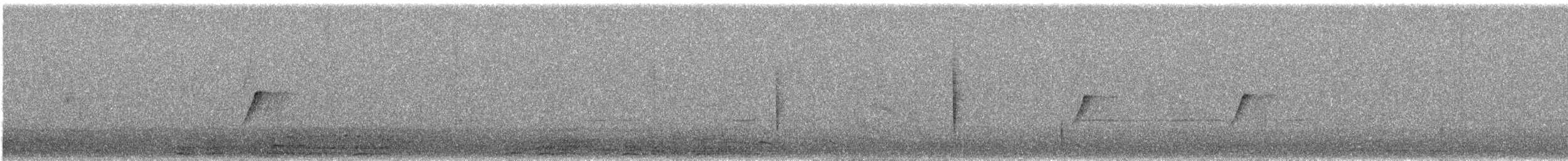 Luì scuro - ML644276689