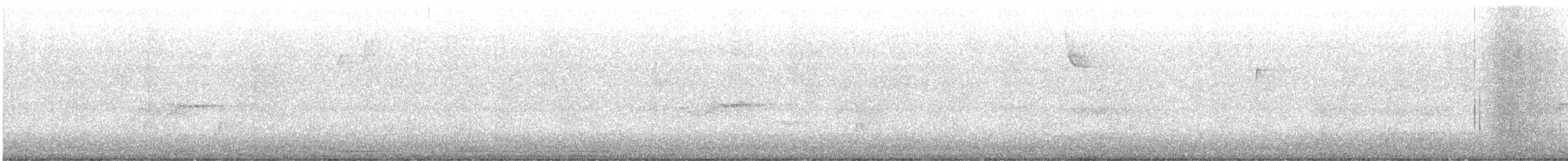 Hellbauch-Schnäppertyrann - ML644278165