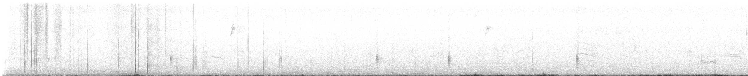 Groove-billed Ani - ML644278429