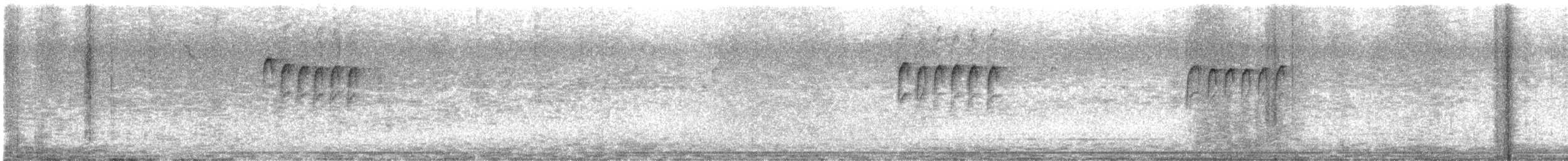 カロライナコガラ - ML644278506