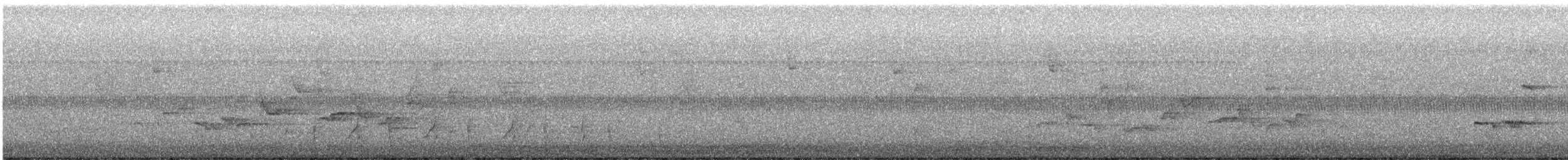 Eastern Warbling Vireo - ML644278628