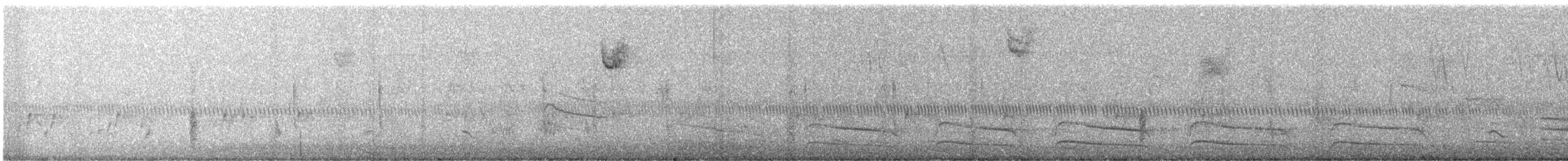 Red-shouldered Hawk - ML644278643