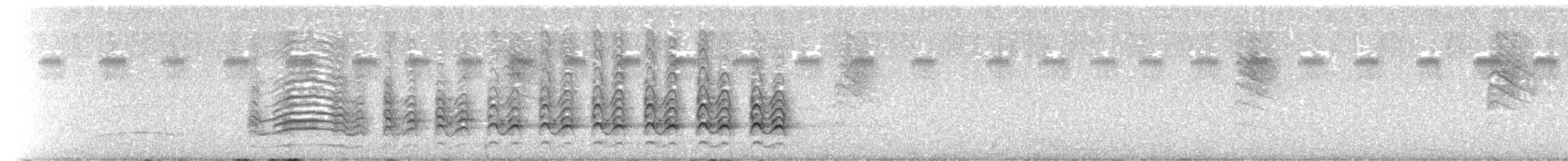 hvitstjertvåk - ML644279069