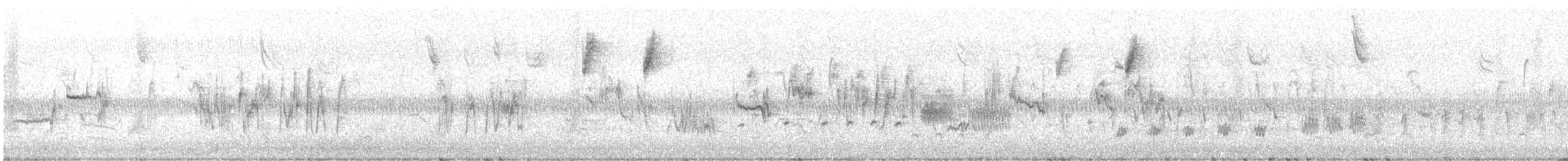 sangspurv - ML644279167