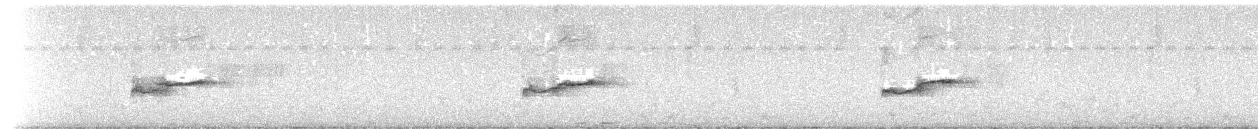 Eastern Wood-Pewee - ML644279434