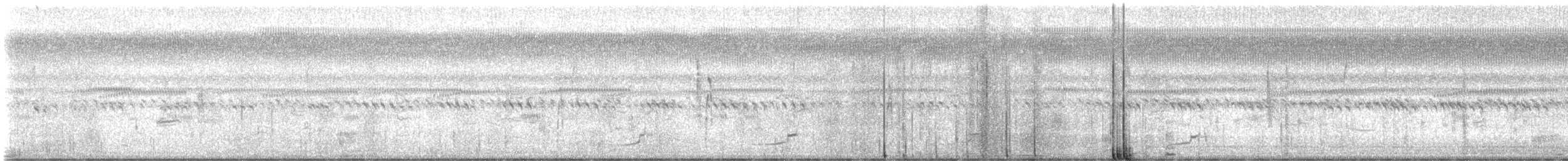 Groove-billed Ani - ML644279652