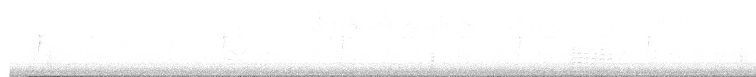 White-breasted Nuthatch (Interior West) - ML644279661