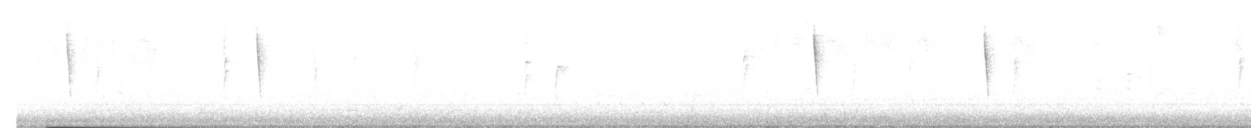 Yellow-rumped Warbler (Audubon's) - ML644279707