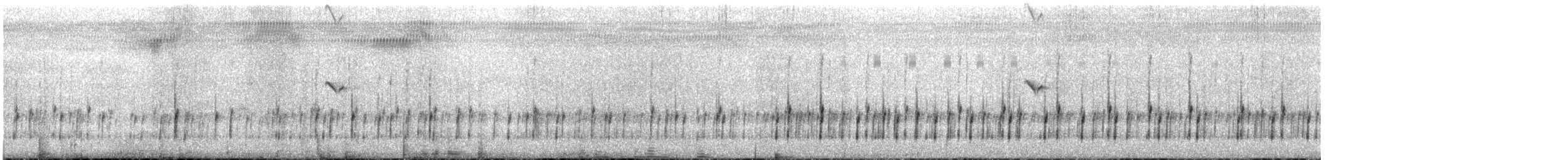 White-headed Marsh Tyrant - ML644279812