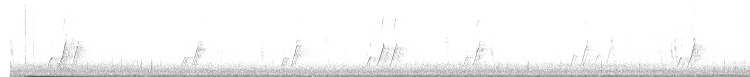 Curve-billed Thrasher (palmeri Group) - ML644279814