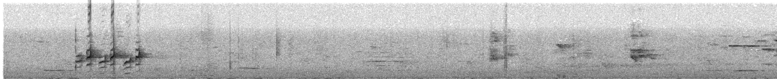 Satin Bowerbird - ML644279816