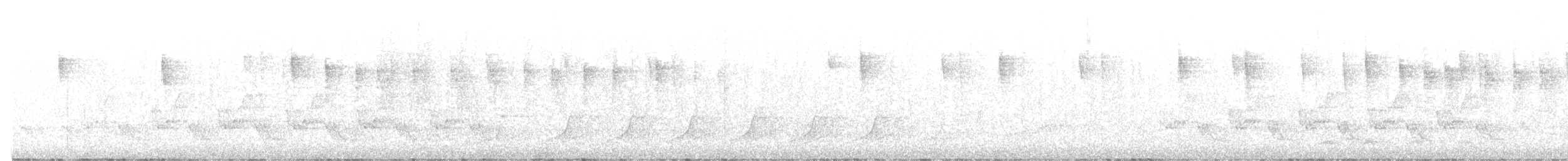 סבכון אורנים - ML644280035