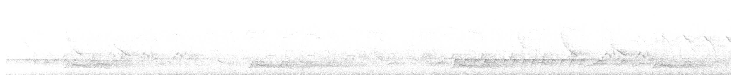 karolinanattravn - ML644281898