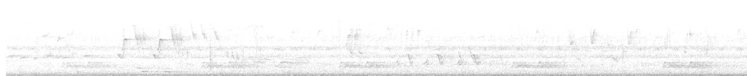 karolinanattravn - ML644281918