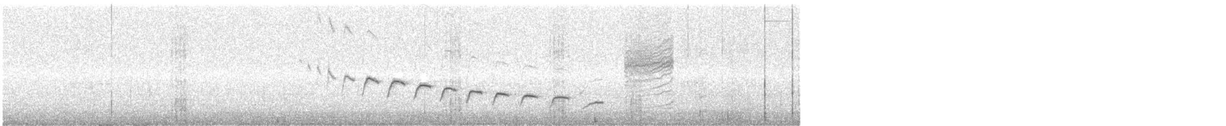 Canyon Wren - ML644283458