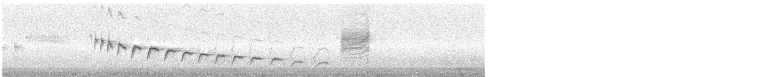 Canyon Wren - ML644283459