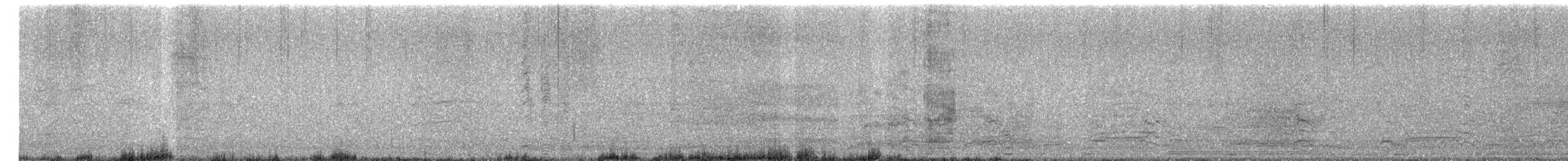 husa labutí (domestikovaná) - ML644283893