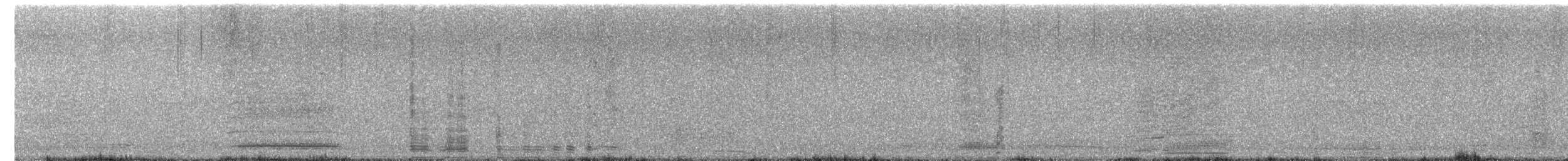 husa labutí (domestikovaná) - ML644283894