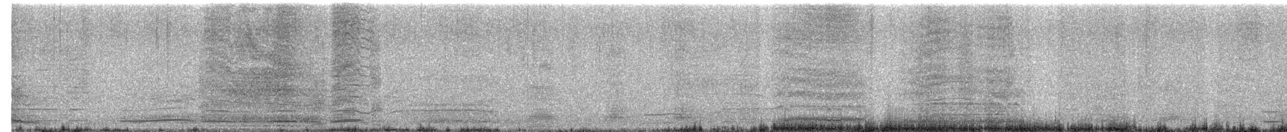 husa labutí (domestikovaná) - ML644283895