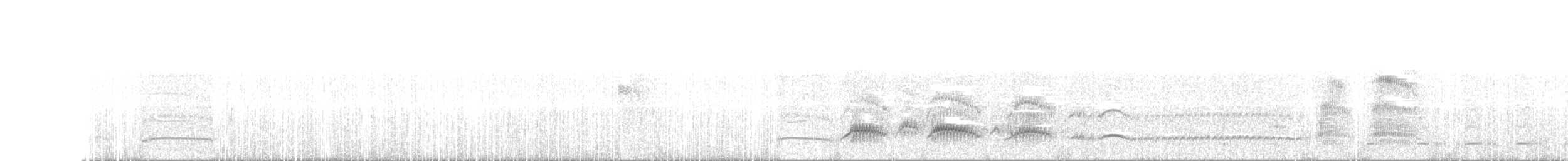 Swainson's Flycatcher - ML644283987