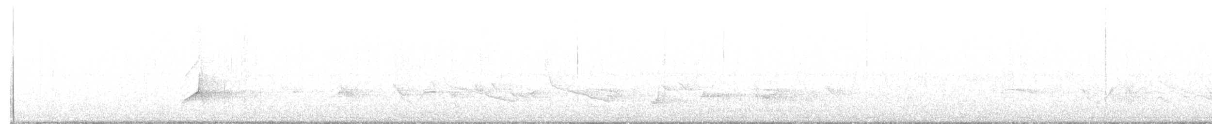 Swainson's Warbler - ML644284379