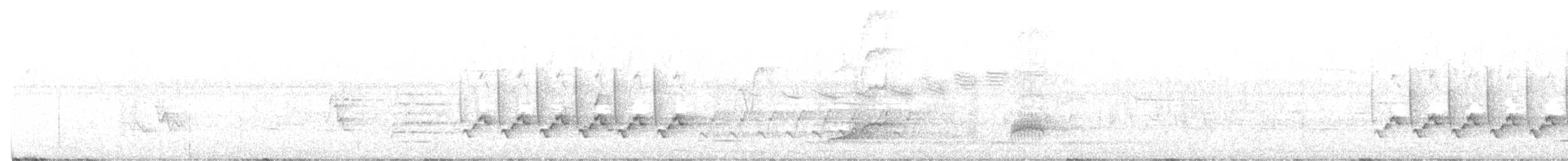 Northern Bobwhite - ML644284391