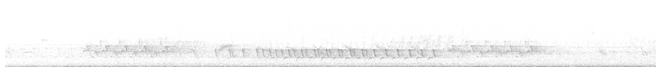 Eastern Screech-Owl - ML644284504