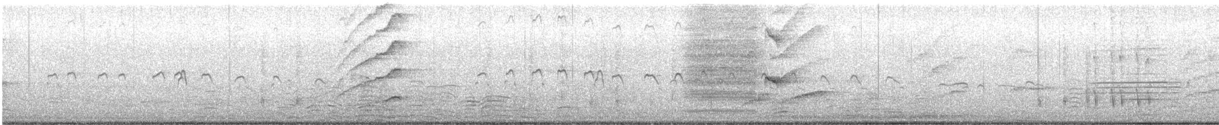 Least Grebe - ML644284737