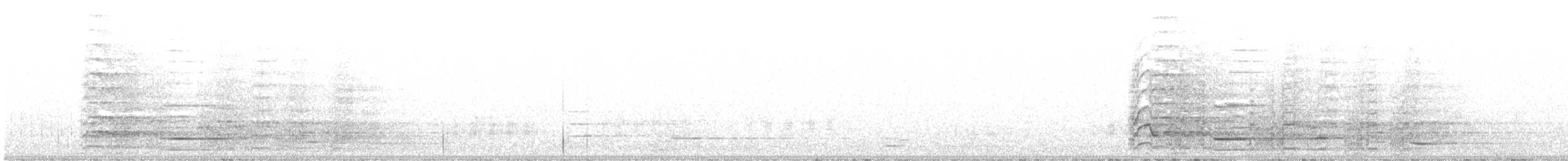 Black Currawong - ML644284852