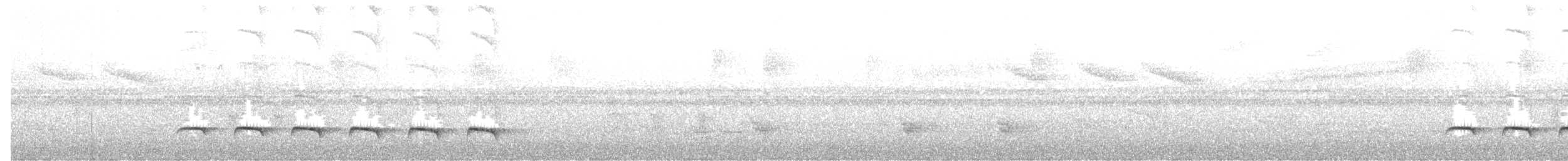 Alapi demoiselle - ML644284882