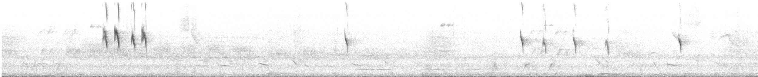 White-throated Kingbird - ML644285098