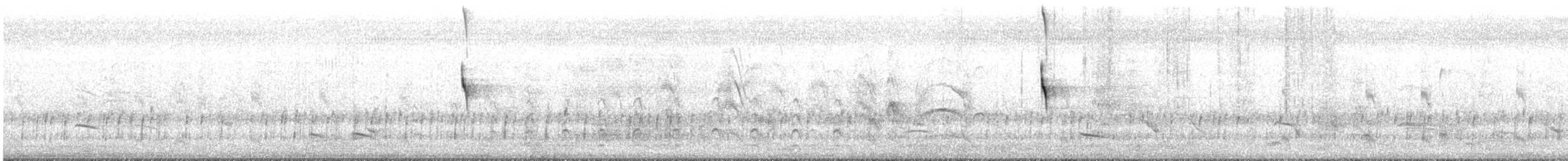 White-throated Kingbird - ML644285100