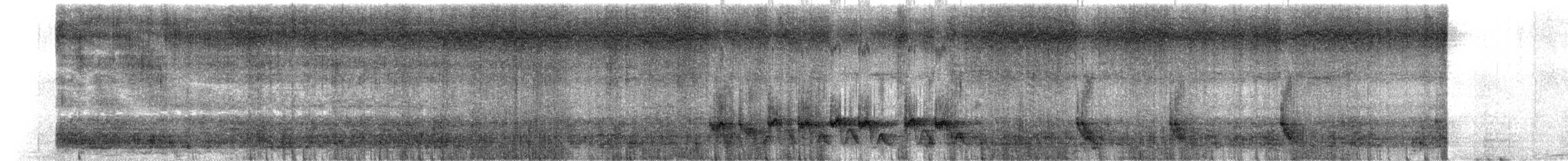 Manakin à longue queue - ML644285384