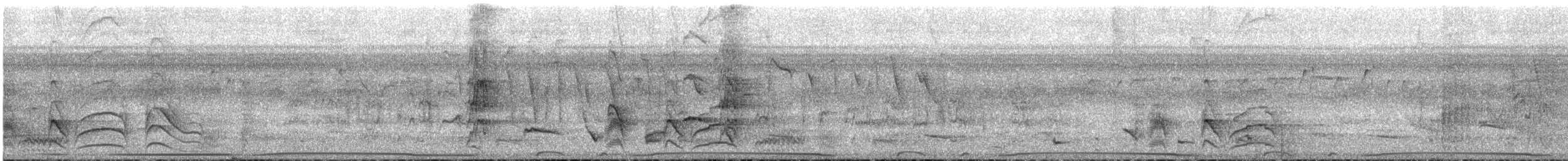 Pale-vented Pigeon - ML644285583