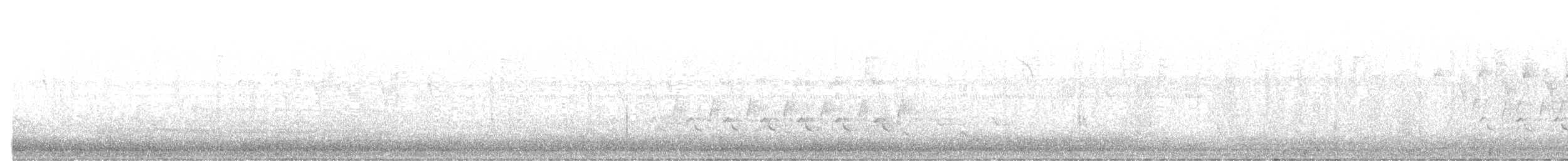 Anhinga - ML644285875