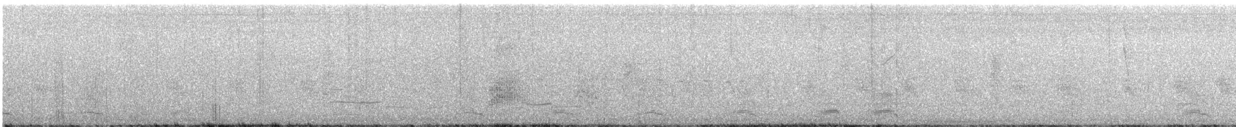 kurlan chřástalovitý - ML644286096