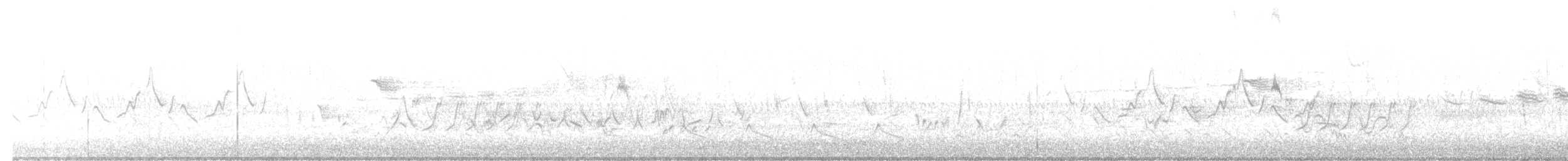 tyran obecný - ML644286240