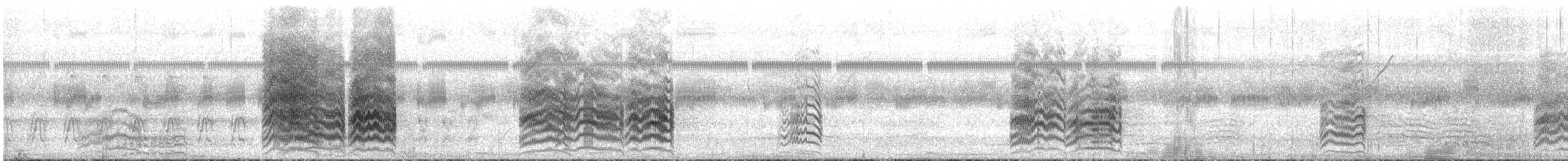 Yellow-collared Macaw - ML644286810