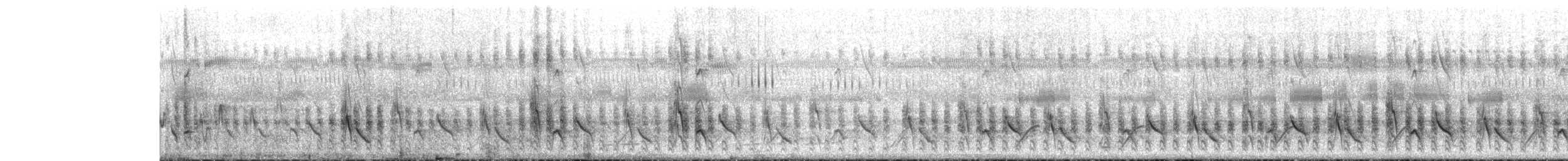 White-rumped Tanager - ML644286916