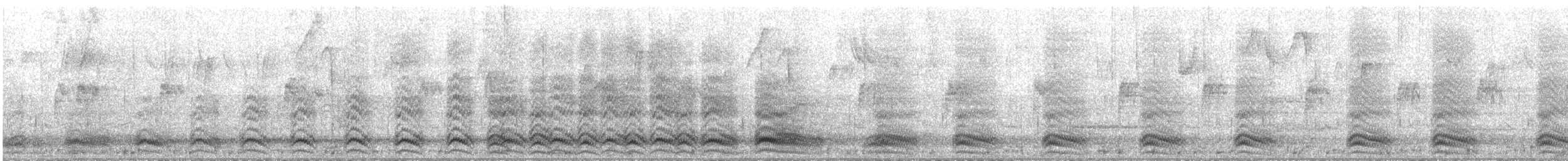 Corneille d'Amérique - ML644287082